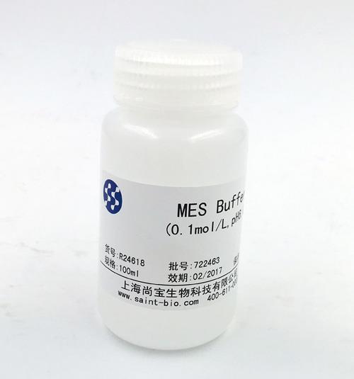 MES Buffer(0.1M,pH=6.0)