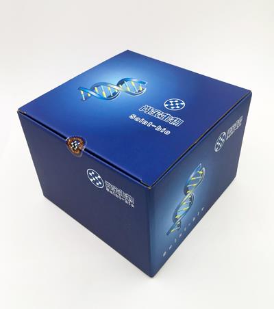 大鼠降鈣素(CT)酶聯(lián)免疫分析試劑盒