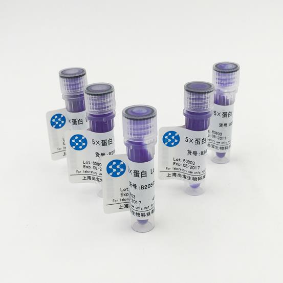 5×蛋白 Loading Buffer
