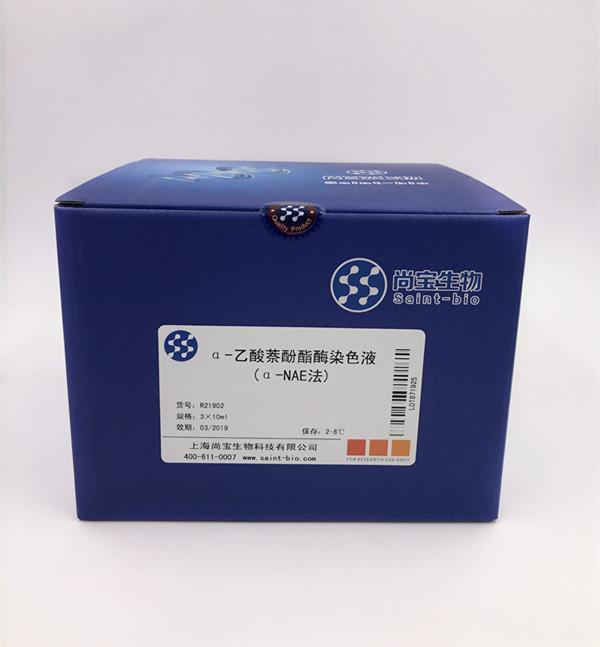 α-乙酸萘酚酯酶染色液（α-NAE法）