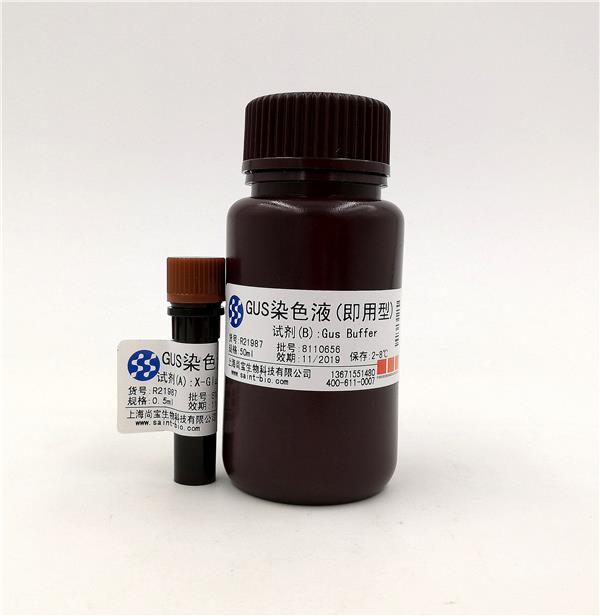 GUS染色液（即用型）