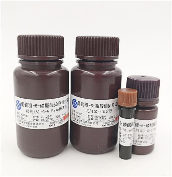 葡萄糖-6-磷酸酶染色試劑盒（鉛法）