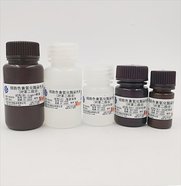 細(xì)胞色素氧化酶染色液（對(duì)苯二銨法）