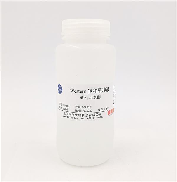 Western轉(zhuǎn)移緩沖液（5×，尼龍膜）